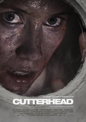 Cutterhead