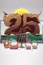 South Park: Stagione 25