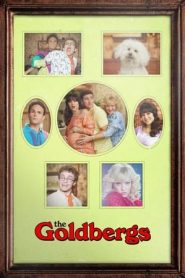 I Goldbergs: Stagione 10