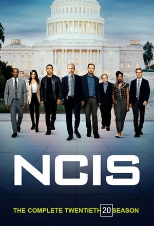 NCIS – Unità anticrimine: Stagione 20