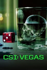 CSI: Vegas: Stagione 3