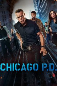 Chicago P.D.: Stagione 12